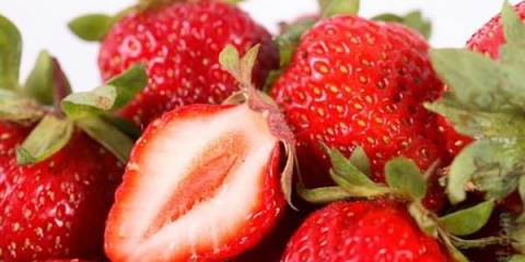 Strawberry albion - opis sorte